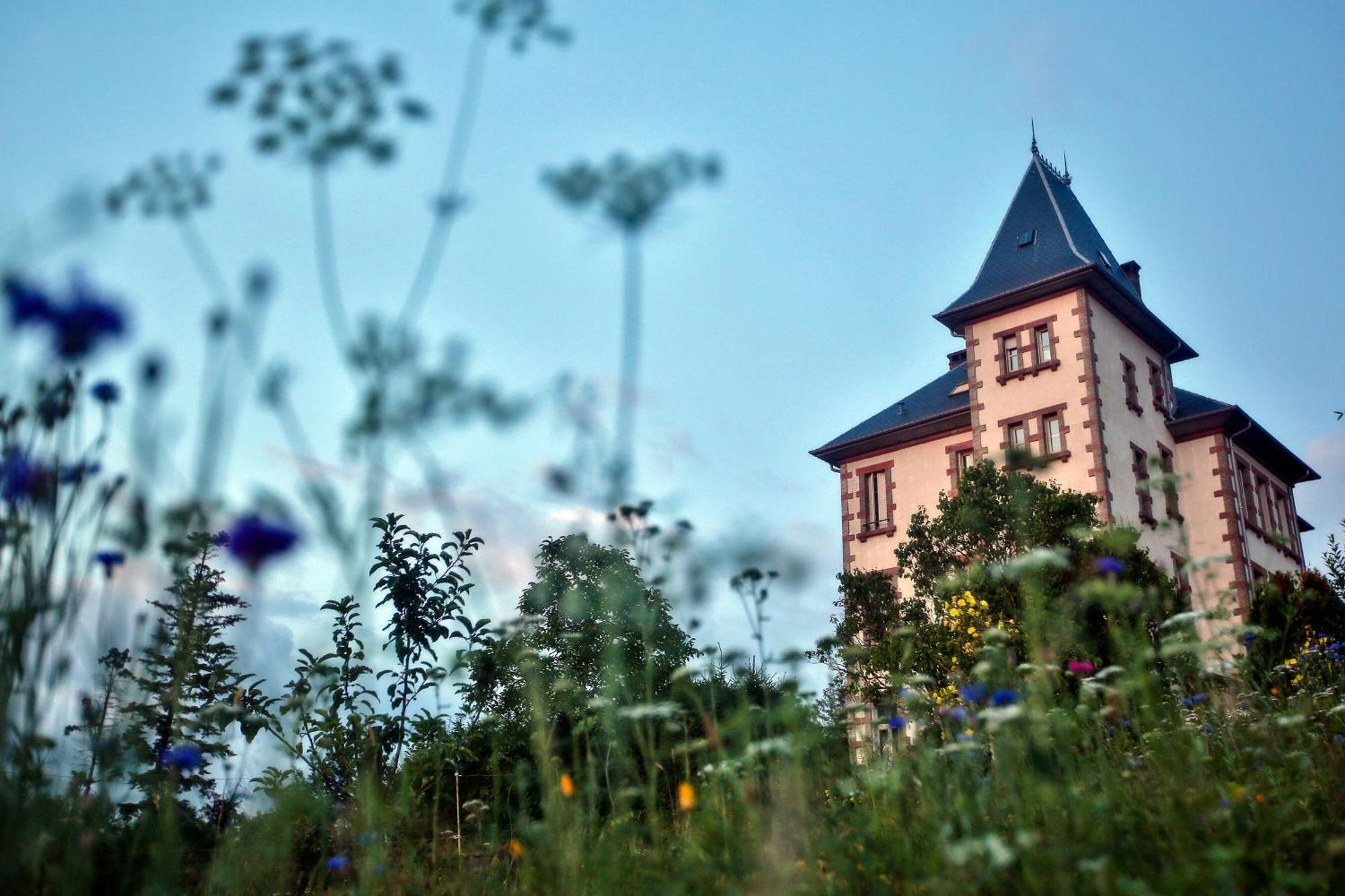 Chateau Robert Raon-lʼÉtape Esterno foto